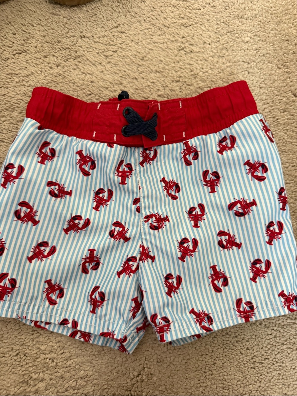 Cat & Jack Red Lobster Stripe Swim Shorts
